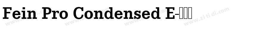 Fein Pro Condensed E字体转换